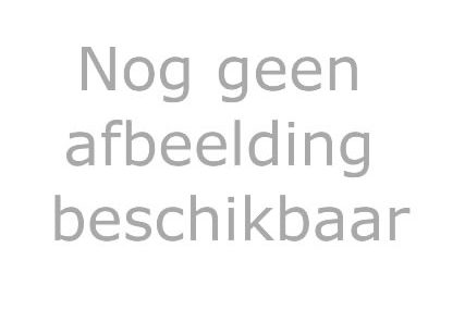 Warnsveldse Boys 35+1